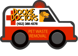 Dog Poop Removal in Pittsburgh, PA